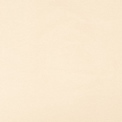 Buff Taupe Suede Color Swatch.