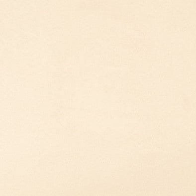 Buff Taupe Suede Color Swatch.