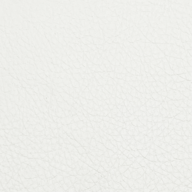 White Leather Vegan Color Swatch