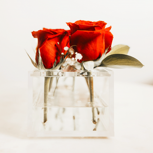 Two red roses in a clear acrylic horizontal vase on a light background.