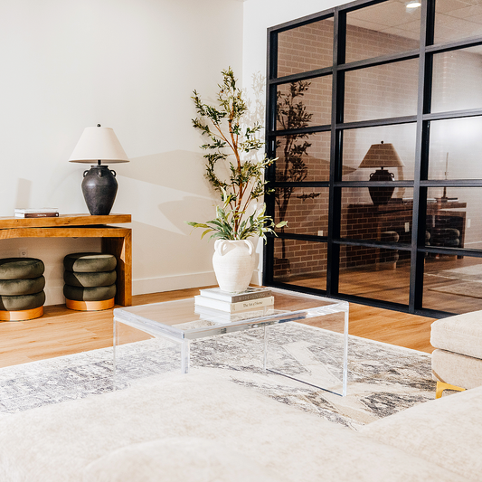 Modern living room with an acrylic lucite coffee table decorated with books and a plant.